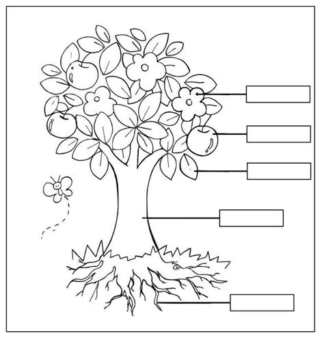 Atividades Partes Da Planta Math Activities Kindergarten Printables