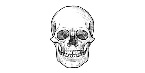 How To Draw A Skull