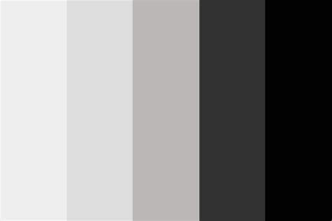 Grey And Blacks Color Palette