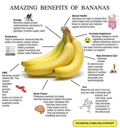 8 amazing benefits of bananas lake diary