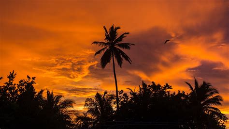Tropical Sunset 4k Wallpapers 4k Hd Tropical Sunset 4k Backgrounds
