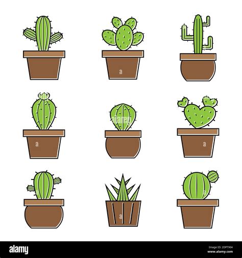 Set Of Vector Cactus Icons On White Background Easy Editable Layered