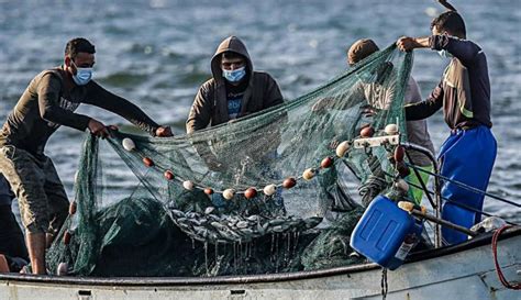 Pengawasan Ketat Tapi Jangan Menghambat Potret Nelayan Di Lampung