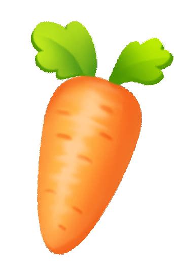 360° Carrot Rotation On Behance