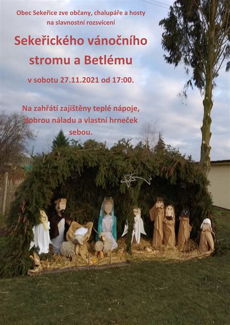 Rozsvícení Sekeřického Vánočního Stromu A Betlému Obec Sekeřice