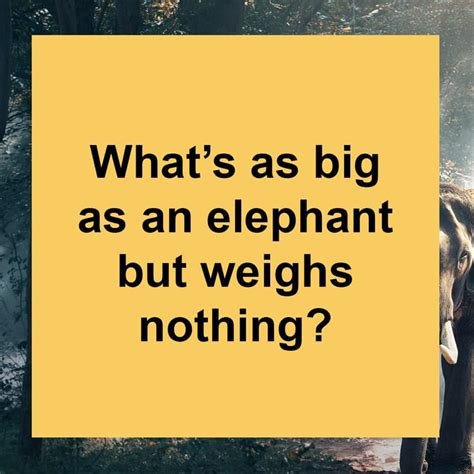 10 Funny Riddles Only The Wittiest People Can Quizzclub