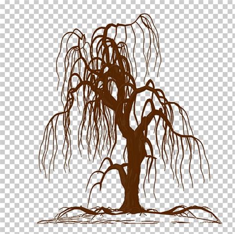 Wall Decal Weeping Willow Tree Drawing Silhouette Png