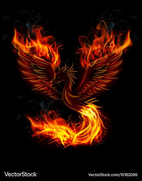 Fire Burning Phoenix Bird With Black Background Vector Image