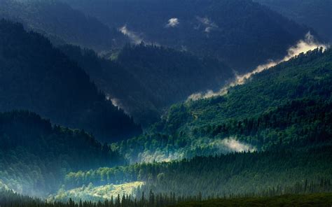 Landscape Nature Carpathians Mountain Mist Forest Spring Green