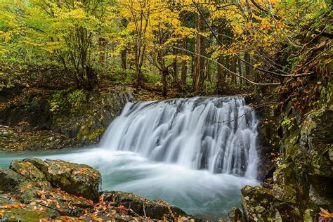 Autumn Forest Nature Waterfall Stream Hd Wallpaper Wallpaperbetter