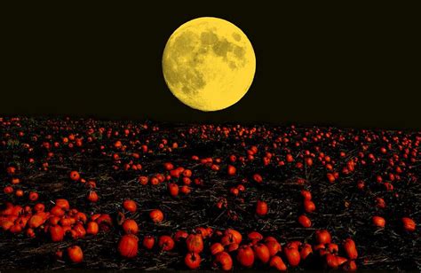 Harvest Moon By Bob Peschka Harvest Moon Fall Harvest Autumn Fields