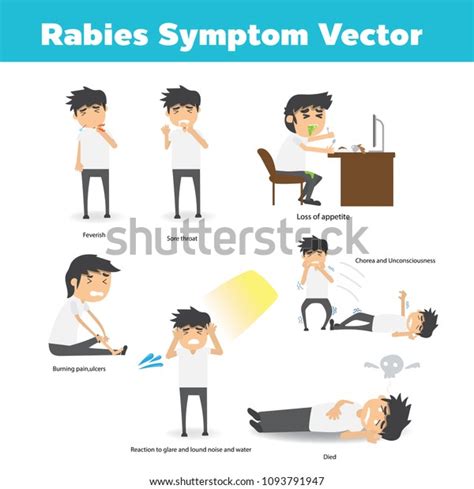 Rabies Symptoms Cartoon Vector Image Vectorielle De Stock Libre De Droits 1093791947