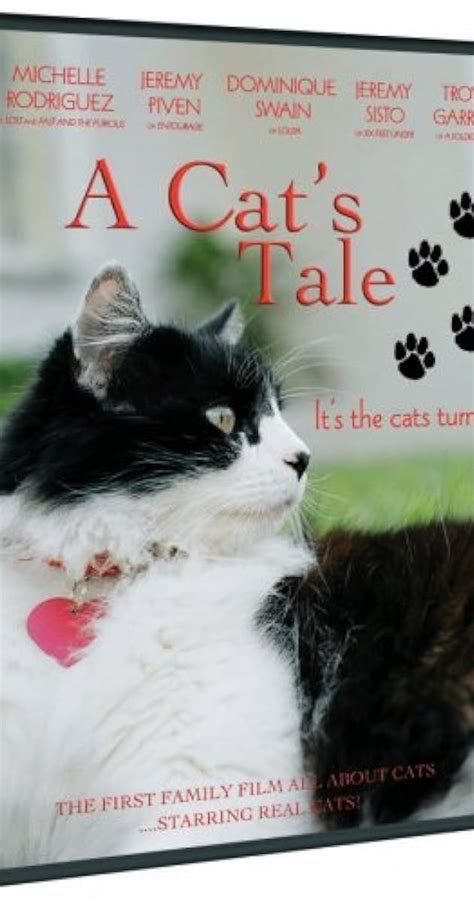 A Cats Tale Video 2008 Imdb