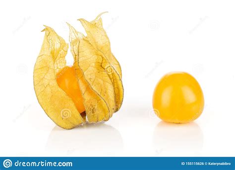 Fresh Orange Physalis Isolated On White Stock Photo Image Of