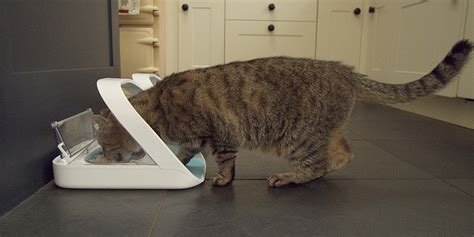 These take automatic feeders to a new level. Cat Feeder: The SureFeed Microchip Pet Feeder from SureFlap
