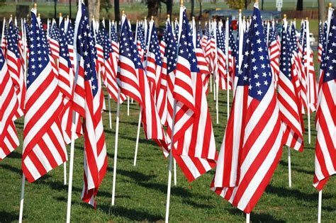 Veterans Day Facts You Never Learned In School Reader S Digest