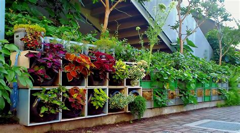 Learn organic gardening at growingyourgreens. Vertical garden 3Gallon bottle ・・Coleus, other・・ Milk ...