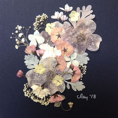 By Amie Clay 2018 Pressed Flower Art Fiori Secchi Fiori Foglie