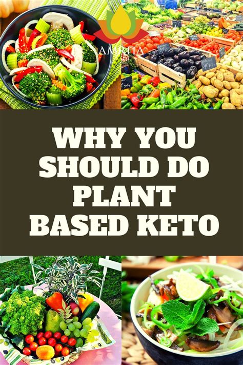 A Beginners Guide To Plant Based Keto Amrita Health Foods Vegan