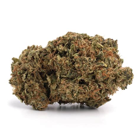 Buy Sfv Og Kush Herbandpot Top Rated Cannabis Products Online Now