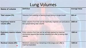 Lung Volumes Capacities Youtube