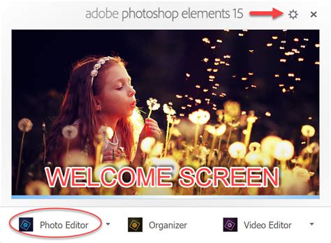 Getting To Know Photoshop Elements For Beginners Scraptiousdesigns