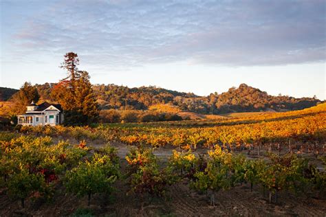 Insiders Guide To Dry Creek Valley