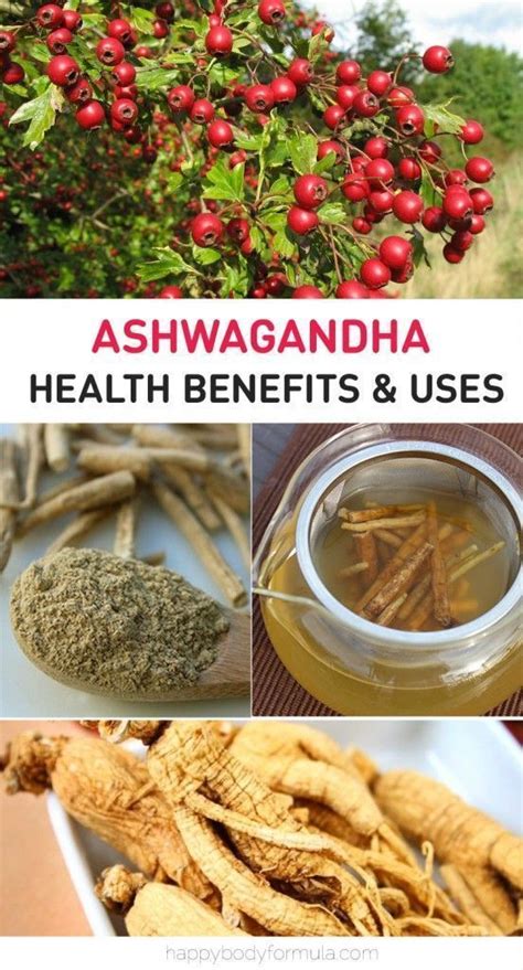 10 Ashwagandha Powder Benefits That Can Improve Your Life Benefits Of