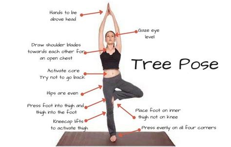 How To Do Vrikshasana Tree Pose And Benefits Of Vrikshasana Basic