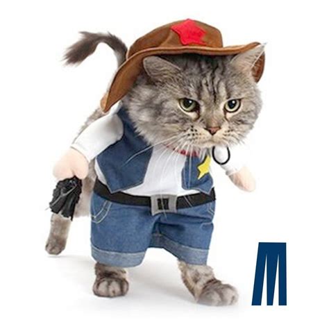Cat wears taco shirt & cowboy hat. The Best Cat Costumes for Halloween | Reader's Digest