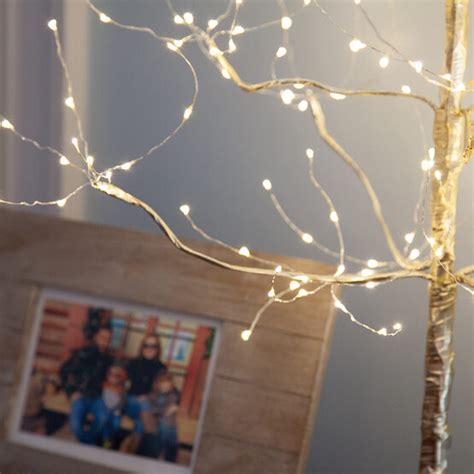 Fairy Light Tree Photos All Recommendation