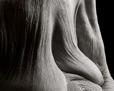 Close Up Portraits Reveal What The Human Body Looks Like Years Of