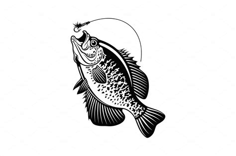 White Crappie Fish Black And White By Digital Clipart On