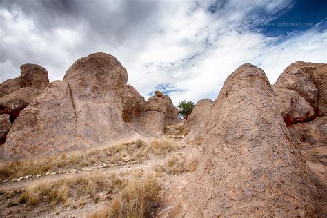 City Of Rocks State Park Nm