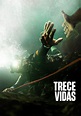 Trece vidas - película: Ver online completas en español