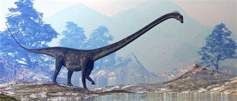Discover The Worlds Largest Dinosaurs Ever A Z Animals