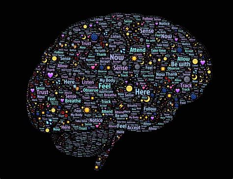 What Is The Memory Capacity Of The Human Brain By Fancied Facts Medium