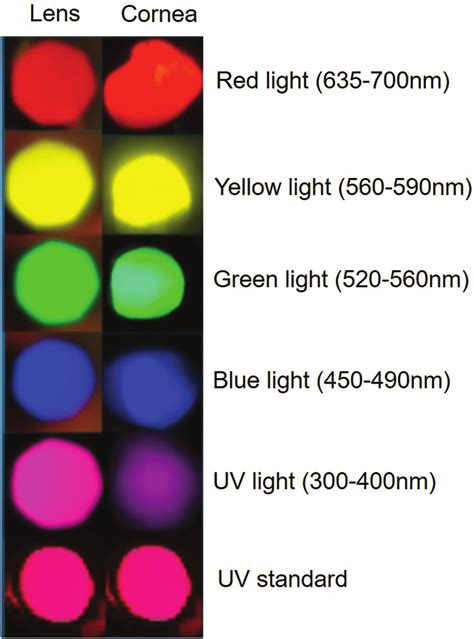 Images Taken Of Various Wavelengths Of Light Being Transmitted Through