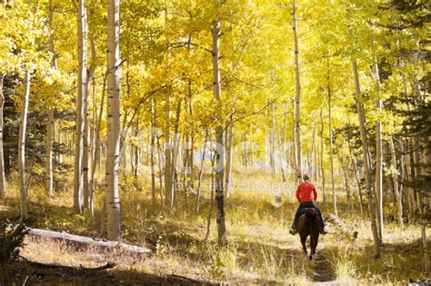Autumn Horseback Riding Landscape Stock Photo Royalty Free Freeimages