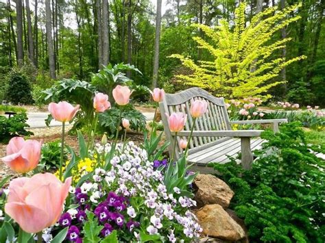 Check spelling or type a new query. Beautiful spring flowers...tulips, pansies and forsynthia ...