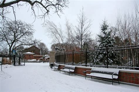 Lincoln Park With Snow At Winter Stock Image Image Of Lakeview