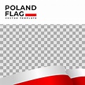 Ilustración de vector de bandera de polonia con plantilla de vector de ...