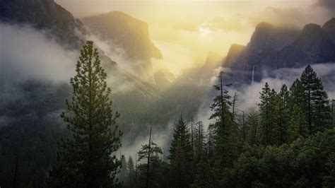 2560x1440 Yosemite National Park Beautiful View 5k 1440p Resolution Hd