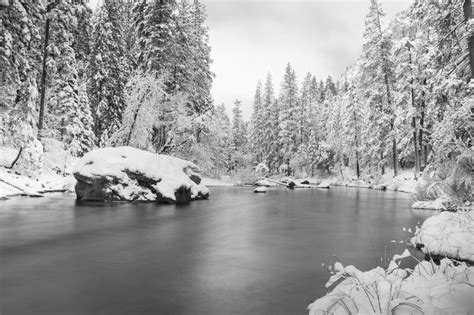 Snowy Landscape With A Creek And Pine Trees In Yosemite Stock Photo