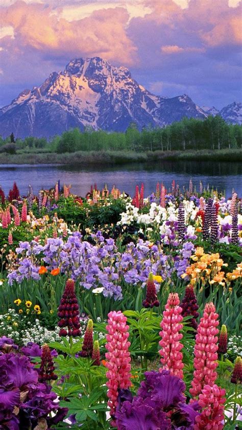 Flowery Meadows And Mighty Mountains Nature Pictures Nature