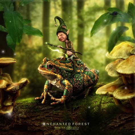 Enchanted Forest By Dimitri Elevit Fantasy 3d Enchanted Forest
