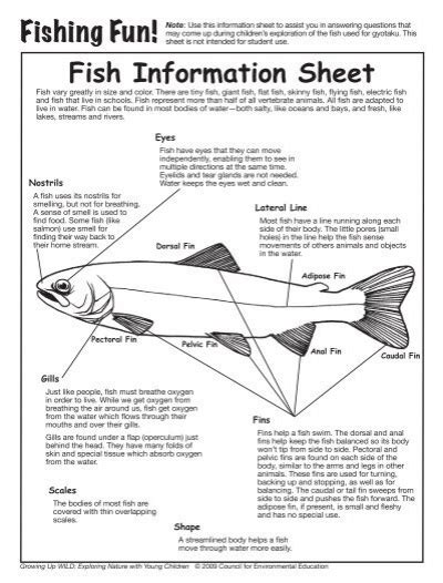 Fishing Fun Fish Information Sheet Project Wild