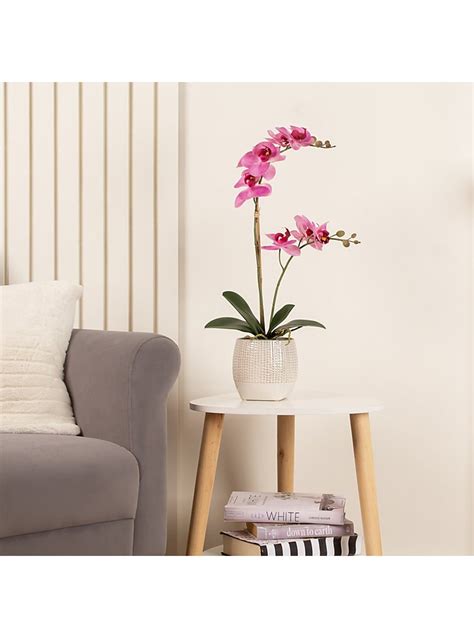 52cm Real Touch 2 Stem Phalaenopsis Orchid Home George At Asda