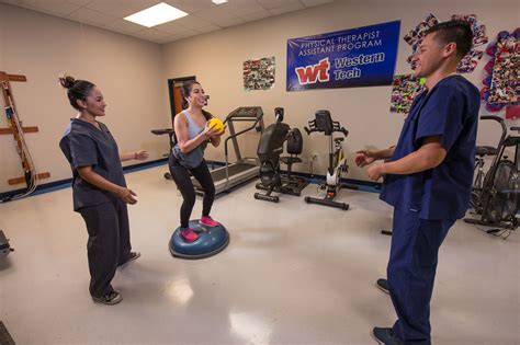Online Physical Therapy Assistant Associate Degree