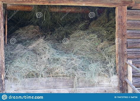 Hay Stored In A Wooden Hayloft Stock Photo Image Of Store People